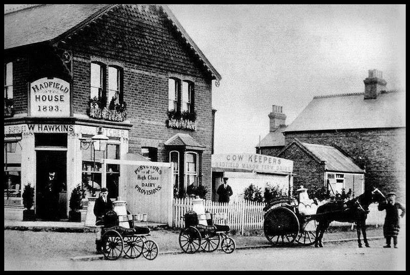 Stanford Le Hope - Hadfield Stores, Wharf Road, Circa 1910