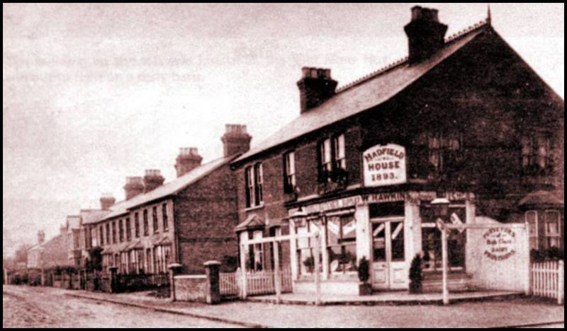 Stanford Le Hope - Wharf Road Hadfield Stores, Early 1900s