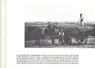 Corringham - One Tree Hill Haymaking