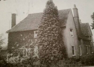 Stanford Le Hope - Ivy Walls